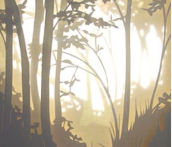 foret_retrouvee foret_retrouvee